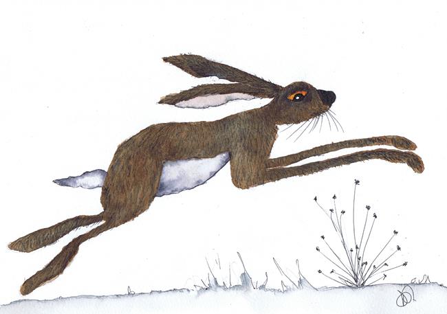Art: JUMPING HARE h2351 by Artist Dawn Barker