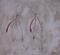 Art: TWO RED TIES by Artist Dawn Barker
