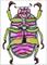Art: Beetle by Artist Amanda Hone