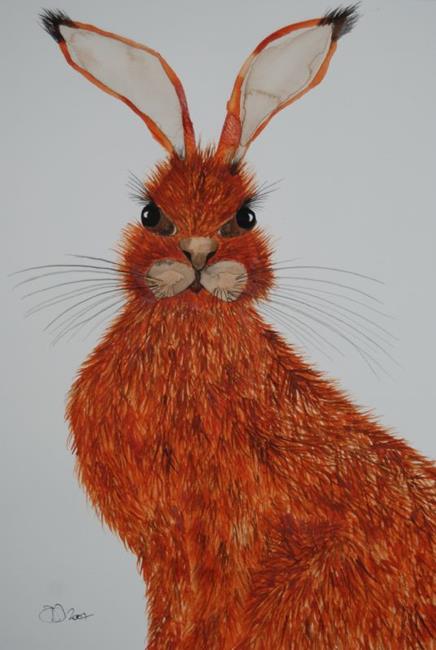 Art: HARE h534 by Artist Dawn Barker