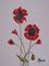 Art: POPPIES p114 by Artist Dawn Barker