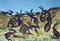 Art: A DOZEN HARES h922 by Artist Dawn Barker