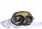 Art: SLEEPING CAT c301 by Artist Dawn Barker