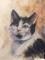 Art: IMG 1260 Felix the Cat 2017 by Artist Marion Dutton