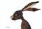 Art: LONESOME HARE h2443 by Artist Dawn Barker