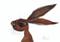 Art: LITTLE HARE h2445 by Artist Dawn Barker
