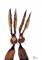 Art: MR & MRS HARE h2444 by Artist Dawn Barker