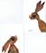 Art: HARES IN LOVE h2465c by Artist Dawn Barker