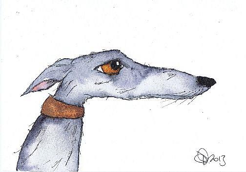 Art: SERIOUS GREYHOUND g269 by Artist Dawn Barker
