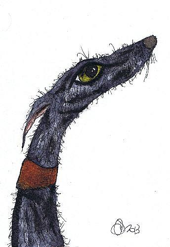Art: GREYHOUND g272 by Artist Dawn Barker