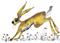 Art: JUMPING HARE h2555 by Artist Dawn Barker