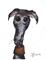 Art: GREYHOUND g290 by Artist Dawn Barker