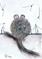 Art: MOUSE m134 by Artist Dawn Barker