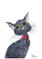 Art: CAT c239 by Artist Dawn Barker