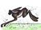 Art: RUNNING HARE h2587 by Artist Dawn Barker