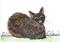 Art: RESTING CAT c191 by Artist Dawn Barker