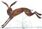 Art: RUNNING HARE h3111 by Artist Dawn Barker