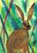 Art: BROWN HARE h2347 by Artist Dawn Barker