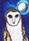 Art: TAWNY OWL b114 by Artist Dawn Barker