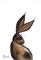 Art: BROWN HARE h2537 by Artist Dawn Barker
