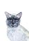 Art: SIAMESE by Artist Dawn Barker