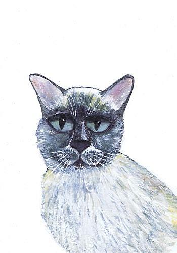 Art: SIAMESE by Artist Dawn Barker