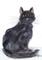 Art: CAT c428 by Artist Dawn Barker