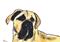 Art: MASTIFF  d107 by Artist Dawn Barker