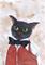 Art: CAT IN BOW TIE c249 by Artist Dawn Barker