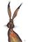 Art: BROWN HARE h2591 by Artist Dawn Barker