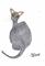 Art: HAIRY CAT c174 by Artist Dawn Barker