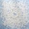 Art: ABSTRACT WHITE FLOWER by Artist LUIZA VIZOLI