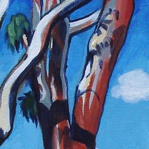 Detail Image for art Eucalyptus, Irvine, California