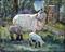 Art: Wheeler's Sheep by Artist Catherine Darling Hostetter