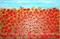 Art: Field of Red Flowers (s) by Artist Luba Lubin