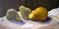 Art: Conversation with a Yellow Pear by Artist Catherine Darling Hostetter