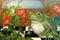 Art: Holly Frogcks by Artist Catherine Darling Hostetter