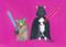 Art: May The Force Be With You by Artist Cathy Santarsiero