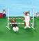 Art: Blatant Refusals by Artist Cathy Santarsiero