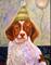 Art: The Striped Party Hat by Artist Catherine Darling Hostetter