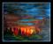 Art: MINNESOTA SUNSET by Artist LUIZA VIZOLI