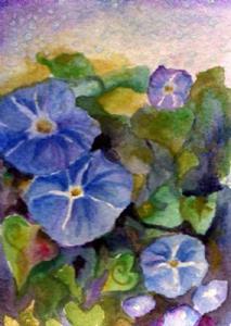 Morning Glory - by Catherine Darling Hostetter from