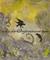 Art: Raven 1 by Artist Emily J White