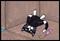 Art: Cat Art Card..sleepy cat #4 by Artist S. Olga Linville