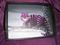 Art: THE CHESHIRE CAT SERVING TRAY by Artist Martin Catterton