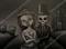 Art: UNTIL DEATH DID WE PART by Artist Martin Catterton