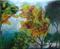Art: ORIGINAL abstract PAINTING,acrylic on canvas by Artist Nataera