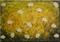 Art: ORIGINAL abstract PAINTING MODERN Art by Artist Nataera