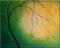 Art: ORIGINAL abstract PAINTING MODERN Art by Artist Nataera