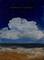 Art: atc801e by Artist Windi Rosson